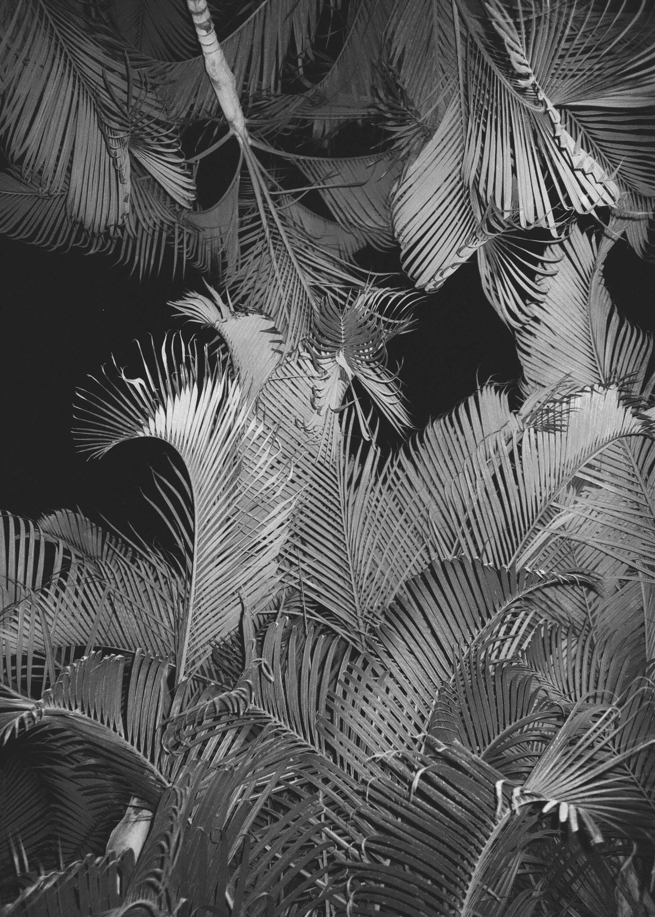 hanging_on_reduced